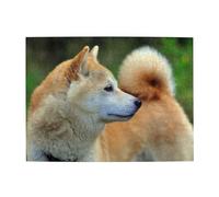 Akita Inu Bokeh Animali Domestici Cani Akita Inu, Puzzle da 500 Pezzi per Adulti - Puzzle in Legno per Adulti Anziani
