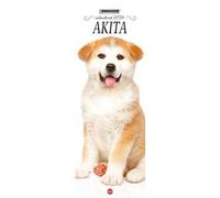 Akita Inu. Calendario 2026. Long