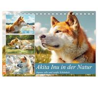 Akita Inu in der Natur. Japans edle und sanfte Schönheit (Tischkalender 2026 DIN A5 quer), CALVENDO Monatskalender: Der Akita Inu in all seiner Ruhe, Kraft und Schönheit