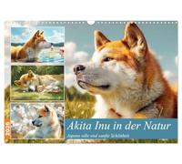 Akita Inu in der Natur. Japans edle und sanfte Schönheit (Wandkalender 2026 DIN A3 quer), CALVENDO Monatskalender: Der Akita Inu in all seiner Ruhe, Kraft und Schönheit