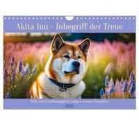 Akita Inu - Inbegriff der Treue (Wandkalender 2026 DIN A4 quer), CALVENDO Monatskalender: Stolz und Unabhängigkeit prägen seinen Charakter