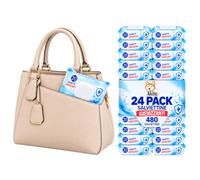 Akitaink Salviettine Umidificate Pocket con Pop-Up, 24 Pack, 480 Pezzi, Igienizzanti