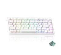 Akko TAC75 HE 8K Hz Rapid Trigger Keyboard, tastiera cablata con effetto Hall al 75% con interruttore magnetico, azionamento regolabile, Snap Tap, ARGB (bianco trasparente, interruttore AstroAim)