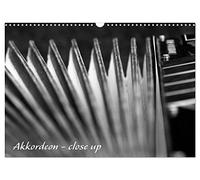 Akkordeon - close up (Wandkalender 2026 DIN A3 quer), CALVENDO Monatskalender: Detailaufnahmen eines Akkordeon
