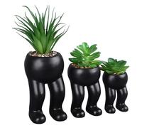 AKLOSIPY 3pcs Succulente in Vaso in Ceramica Life - Cassa, Adorabile Decorazione per la Casa e L'Ufficio con Vassoio con Vassoio