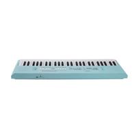 AKLOSIPY Pianoforte con Tastiera Elettronica a 54 Tasti con Microfono - Piano Elettrico Portatile con Doppia Alimentazione per Bambini, per Divertimento Musicale Al Chiuso e all'aperto (BLUE)