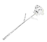 AKLOSIPY STEM 24K Reput Roses Real Roses con Foglia per San, Festa della Mamma, Matrimonio o Feste di Compleanno (SILVER)