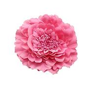 AKOAK 1 grande fermaglio per capelli a forma di peonia, in chiffon, stile bohémien, con fiore hawaiano, per flamenco, matrimoni, feste, vacanze, copricapo floreale, accessori per capelli femminili