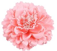 AKOAK 1 grande fermaglio per capelli a forma di peonia, in chiffon, stile bohémien, con fiore hawaiano, per flamenco, matrimoni, feste, vacanze, copricapo floreale, accessori per capelli femminili