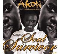 Akon & Dj Noodles - Soul Survivor Mix Tape