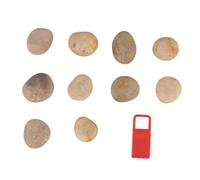 AKOOSY 1set Pietre Naturali per Dipingere Kit Creativo per Ragazzo Ragazza con Supporto Incluso per attività Artistiche Stile Casuale per Scuola Fai da Te