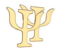 AKOOSY 2 pezzi Spilla Psicologia Retro in Pin Decorativi per Cappelli Vestiti e Maglioni Accessori Versatili per Donna Individuale