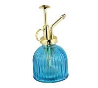 AKOOSY Annaffiatoio in Vetro Retro da Spruzzino Nebulizzatore Portatile per Piante da Interno ed Esterno Capacità Grande Corpo Trasparente con Beccuccio per Innaffiare Piante Grasse e