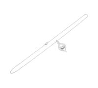 AKOOSY Collana Ciondolo a Forma di Cuore e Urna per Cremazione in Acciaio Inox, Gioiello Commemorativo Resistente per Ceneri di Persone Care e Animali, Decorazione da Indossare Sempre Vicino al Cuore