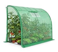 AKORD Serra da Appoggio a Muro per Piante e Orto, Telaio in Acciaio e Film PE con Filtro UV, 1 Porta e 1 Finestra, 100x200x210 cm, Verde