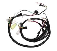 Akozon Cablaggio Gruppo 5YT 82590 00 00 Abs 18awg-20awg | Materiale ABS, Collegamento Elettrico, Allestimento Veicolo 350 Yfm350 Yfm350r, Cavo Elettrico Completo
