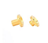 Akozon Fermo per Albero per Corde per Chitarra Elettrica da 2 Pezzi con Viti 5 Mm 7 8 Mm Rame in Lega di Zinco Nero (GOLD)