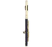 Akozon Piccolo Ottavino Mezza Misura Chiave C Flauto Placcato in Cupronichel con Custodia Protettiva Imbottita Dorata (GOLD)