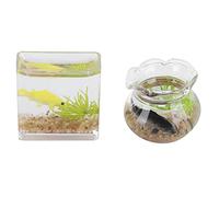 Akozon Titolo: 2 Pezzi 1:12 Scala in Miniatura Ciotola di Pesce e Accessori per la Casa delle Bambole di Pesce - Arredamento di Bambole Realistiche per Bambini