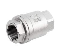 Akozon Valvole di Ritegno a Molla in Linea DN20 3/4" unidirezionale Valvola in Acciaio Inox 304 per Acqua, Olio, Vapore e Altri Fluidi e Alcuni Liquidi Corrosivi