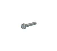 Akrapovic P-fb11 Exhaust Screws Argento
