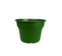 Akro-Mils The HC Companies PA10000B71 Panterra pentola, Verde, 25,4 cm