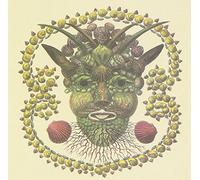 Akron/Family - Akron/Family