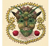 Akron/Family - Akron/Family