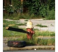 Akron/Family - Everyone Is Guilty