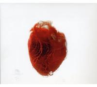 Akron/Family - Love Is Simple