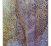 Akron Family - Sub Verses