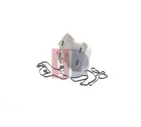 AKS DASIS 026018N Radiatore olio motore