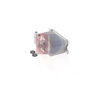 AKS DASIS 056003N Radiatore olio motore