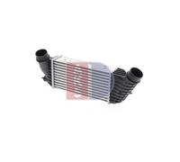 AKS DASIS 067012N Intercooler