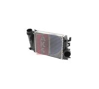 AKS DASIS 077018N Intercooler