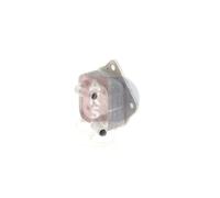 AKS DASIS 216009N Radiatore olio motore
