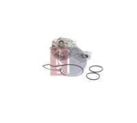 AKS DASIS 570004N Pompa acqua