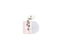 AKS DASIS 840096N Valvola espansione climatizzatore