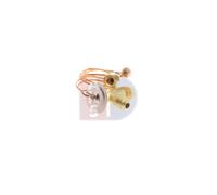 AKS DASIS 840161N Valvola espansione climatizzatore