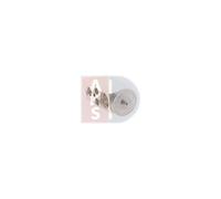 AKS DASIS 840282N Valvola espansione climatizzatore