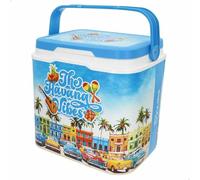 AKTIVE Borsa frigo rigida 24L, Design Summer Trends, Plastica resistente, Isolam