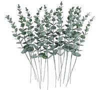 AKTOUR Pensieri per Natale Mamma Steli Verde Decorazione Rami Reali Per Disposizione Floreale Vaso Bouquet Da Sposa Centrotavola Mimose Finte (Green, One Size)