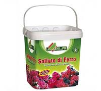AL.FE Solfato di Ferro antimuschio rinverdente Microgranulare per Piante e Fiori