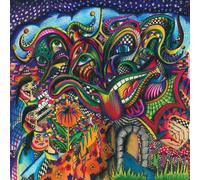 Al Lover Cosmic Joke (Vinyl LP) 12" Album