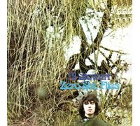 al stewart zero she flies (CD)