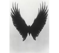 Ala Diamond Painting Ali D'Angelo Diamond Painting Kit Completo, 5D Diamantini Crystal Art Strass Kit Punto Croce Pittura Diamante, Hobby Creativi Adulti, Decorazioni da Parete Regalo 30x40cm 5g-40T