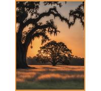 Alabama - Southeast Inspired Notebook: College ruled notebook - Alabama, the Heart of Dixie, Southeast. 8.5”x 11”, 160 pages…Great for school, work, or journals.