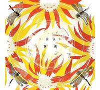 Alabaster DePlume Come With Fierce Grace (CD) Album Digipak