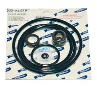 Aladdin GOKIT79 Sta Rite Max E-Pro Go Kit Attrezzatura Per Piscina