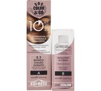 ALAMA PROFESSIONAL SOS COLOR&GO 10MIN Duo Set all